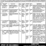 Job Positions at University of Agriculture UAF/University of Agriculture UAF Faisalabad Research Posts 2023